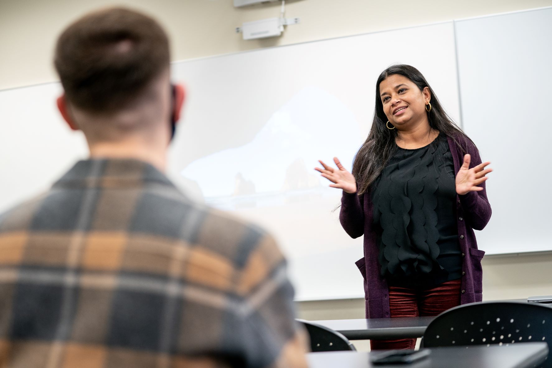 Faculty teaching in classroom